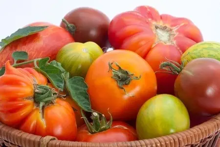 Heirlooms vs. Hybrids: What are the Tomatoes Difference?