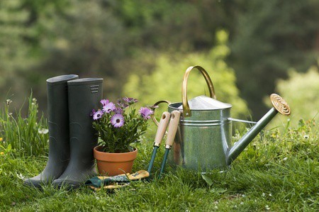 Must-Have Gardening Tools & Accessories