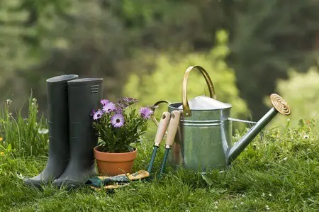 Must-Have Gardening Tools & Accessories