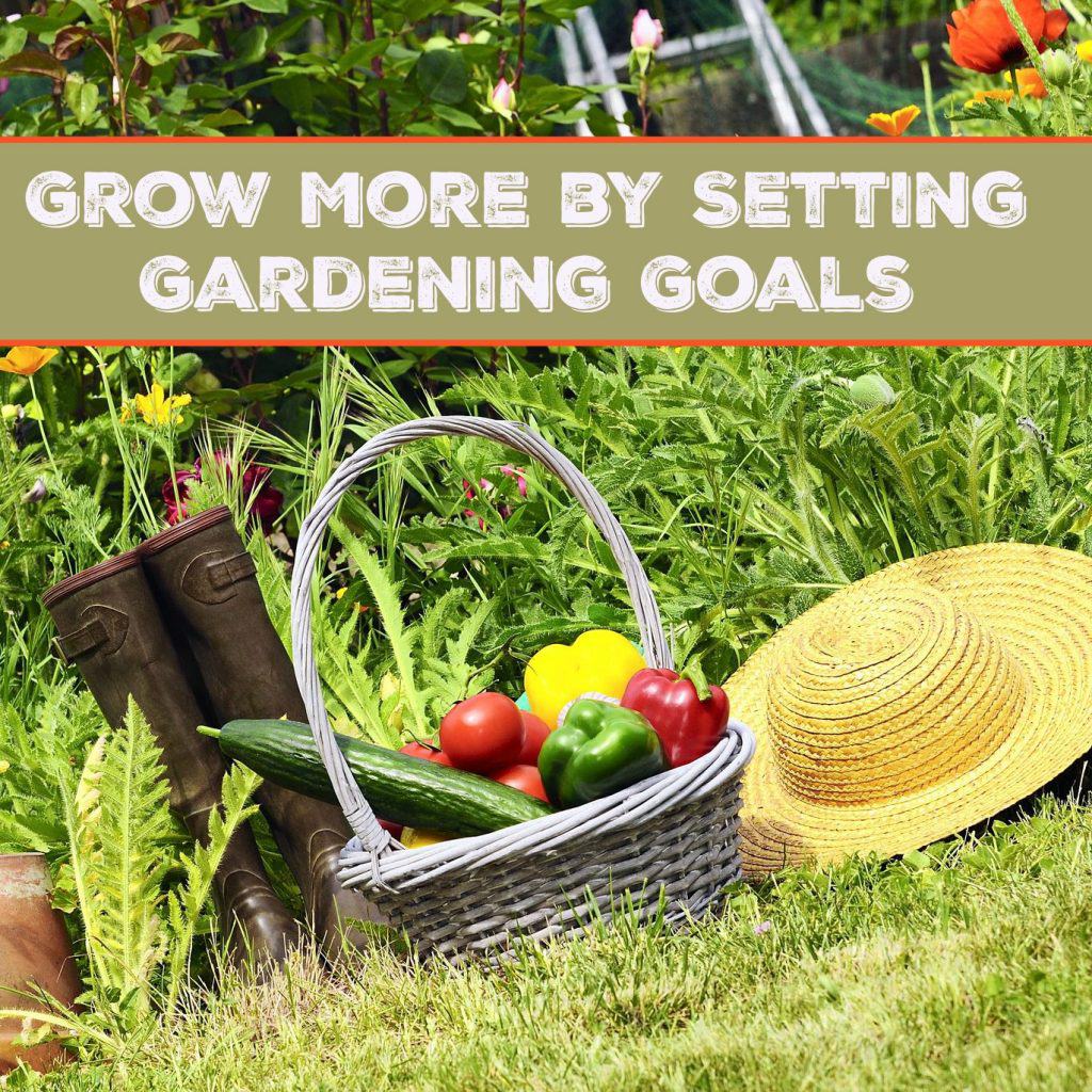 Grow More by Setting Gardening Goals