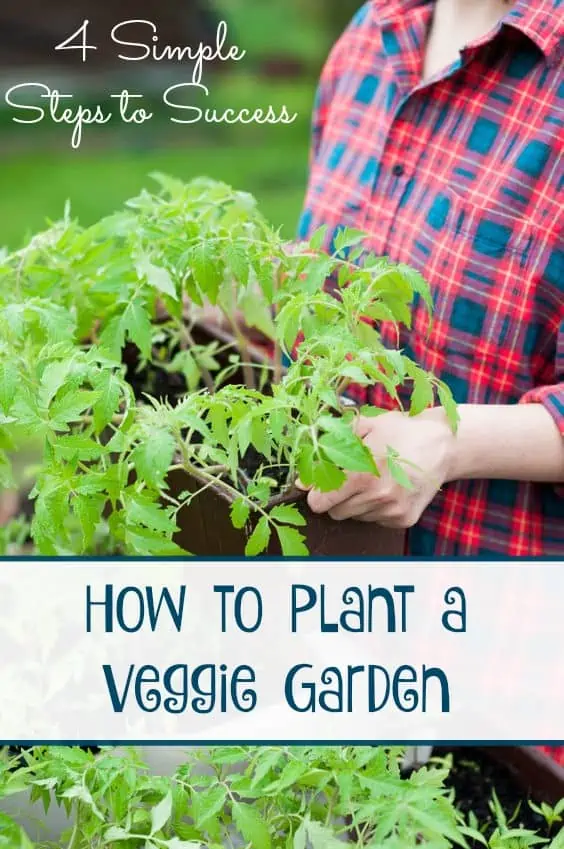 How to Plant a Veggie Garden