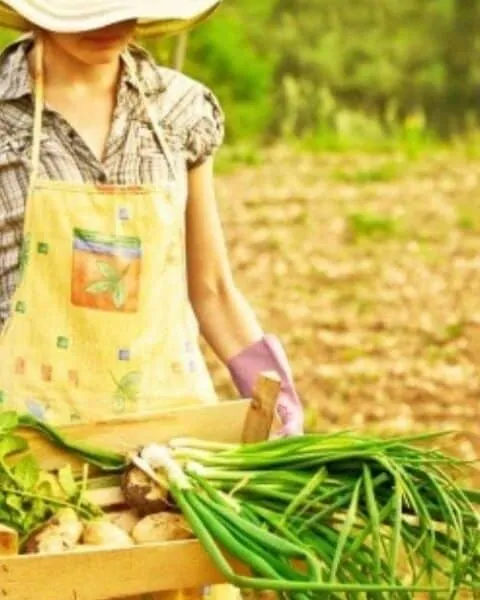 A woman with a wooden crate filled with garden produce.