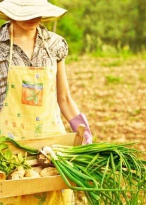 A woman with a wooden crate filled with garden produce.