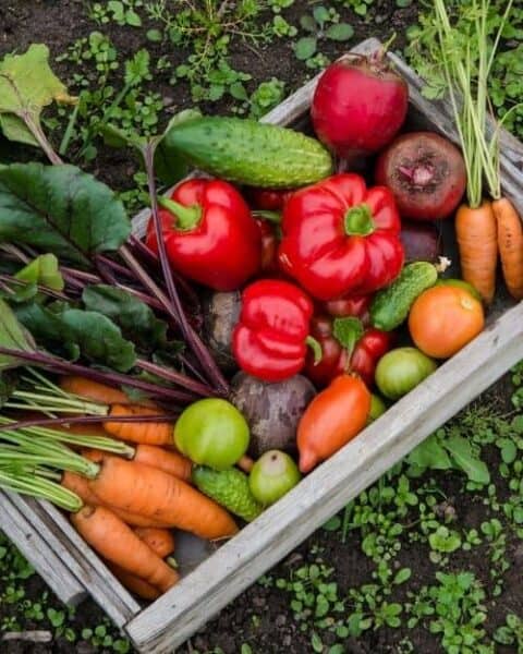 A wooden crate of vegetables.