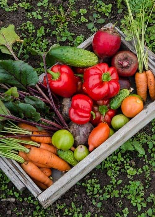 Grow More by Setting Gardening Goals