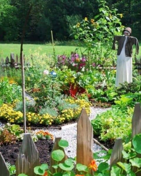 A garden of produce and flowers with a scarecrow in the middle of the garden.