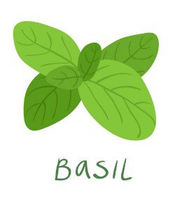 Easy-to-Grow Culinary Herbs Ideal for Small Spaces