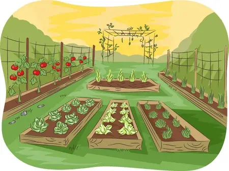 How to Grow a Vertical Garden