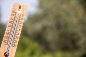 5 Ways to Beat the Summer Heat Without Air Conditioning