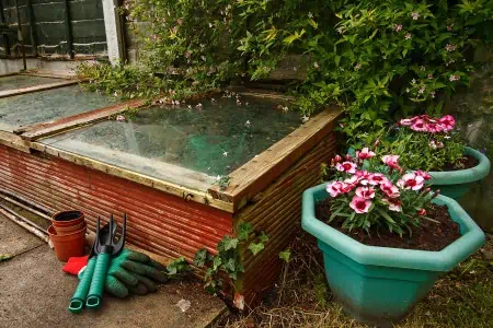 gardeners cold frame in the garden, used to protect seedlings from frost during winter