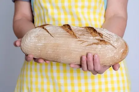 long delicious self made bread in woman\'s hands