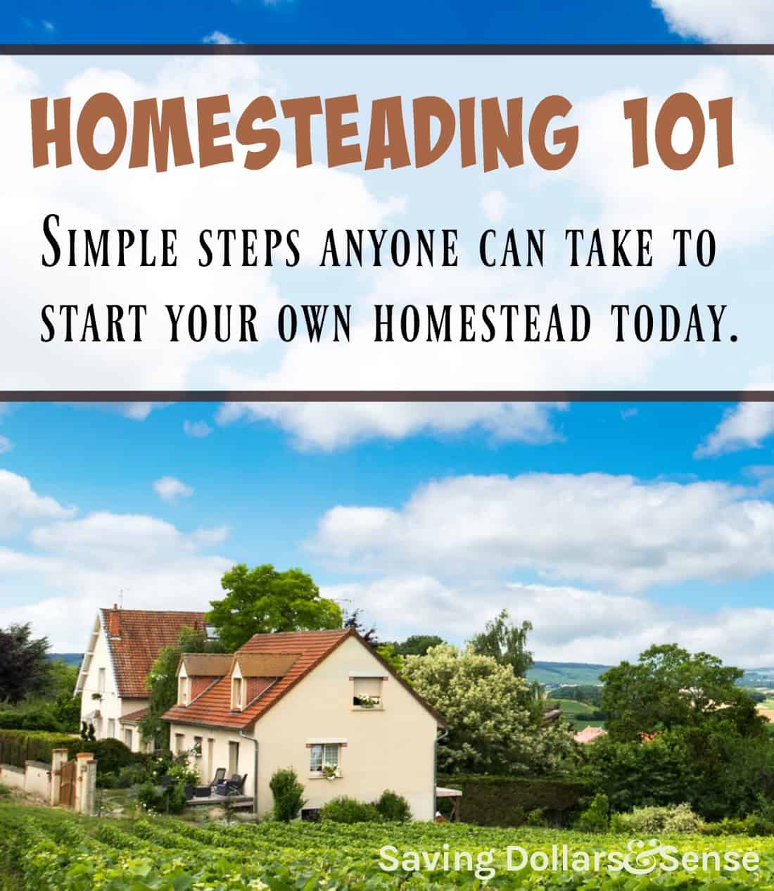 How to Begin Homesteading Saving Dollars & Sense