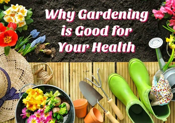 How Gardening is Good for Your Health!