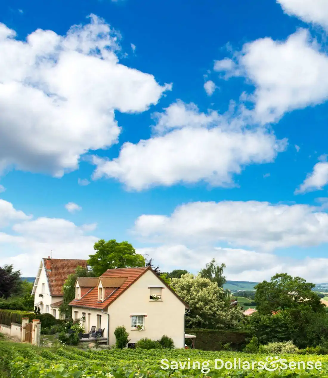 How to get started with homesteading.