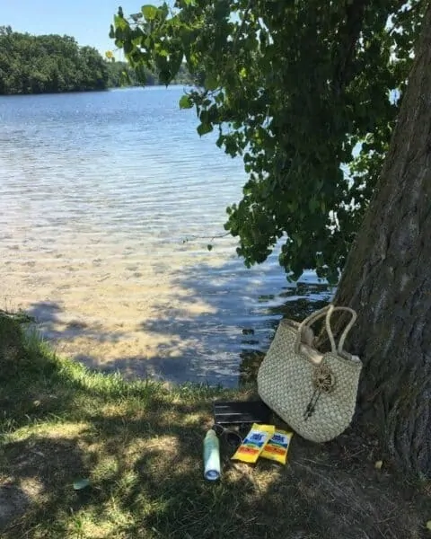 A purse and cleaning supplies by a tree and lake.