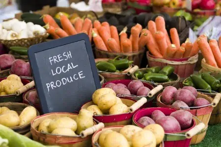 fresh produce on sale at the local farmers market.