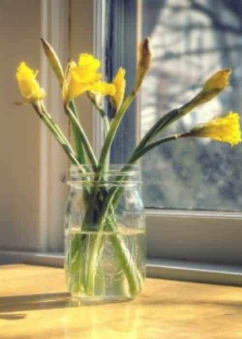 Clear jar of yellow flowers by the window.