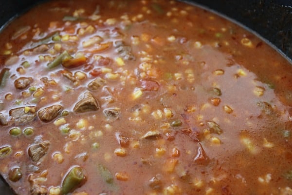 veggie-beef-stew