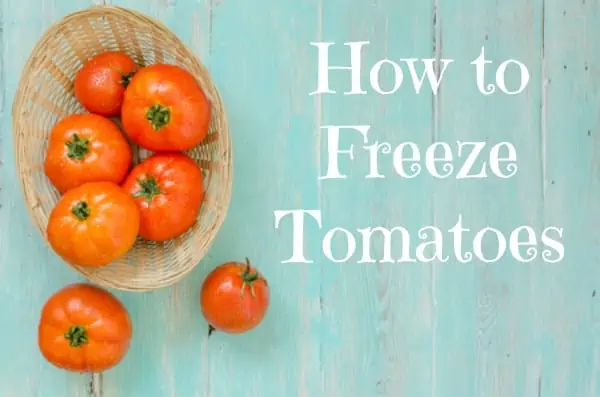 how to freeze tomatoes