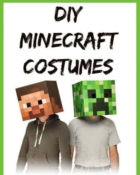 Minecraft costumes