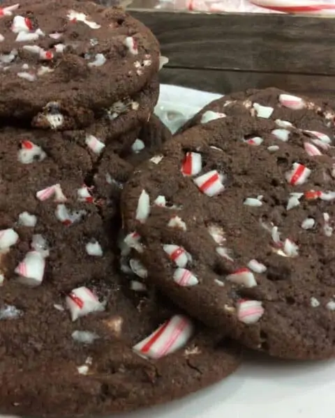 Chocolate peppermint hot cocoa cookies.