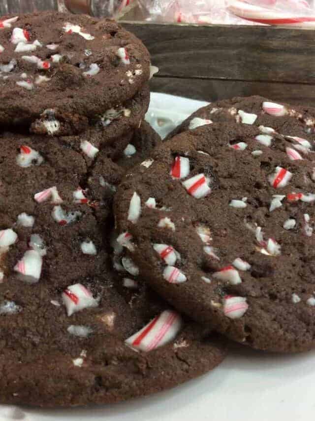 Peppermint Hot Cocoa Cookies (Easy Recipe) Story