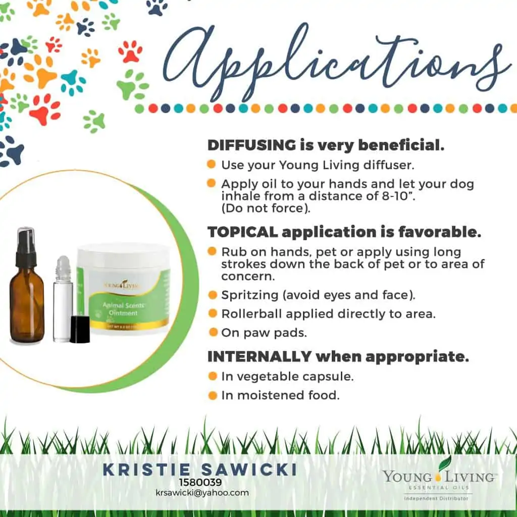 essential oils unsafe for dogs