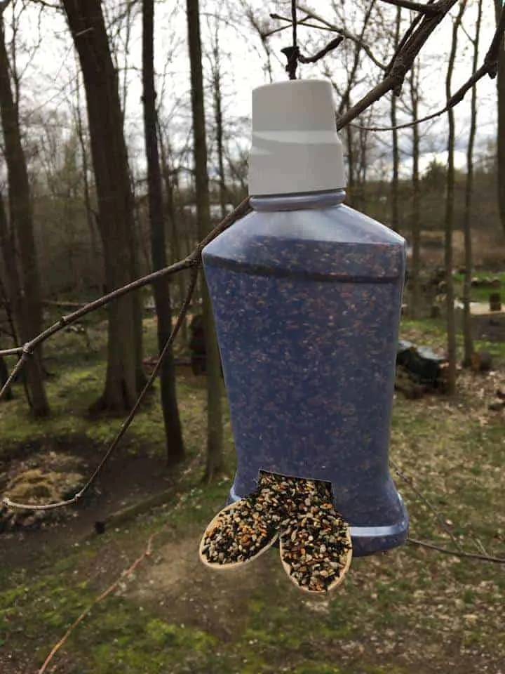 How to Make an Upcycled Birdfeeder