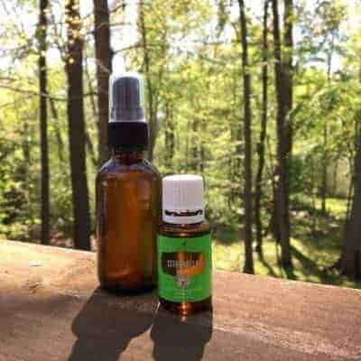 essential oil bug spray recipe