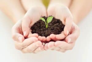 How to Get Kids Excited About Gardening