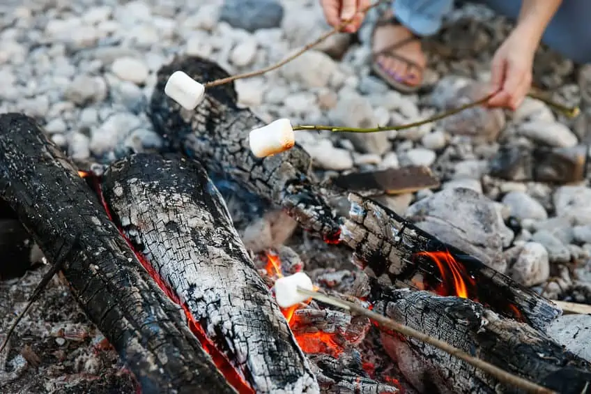 S\'mores over campfire. 