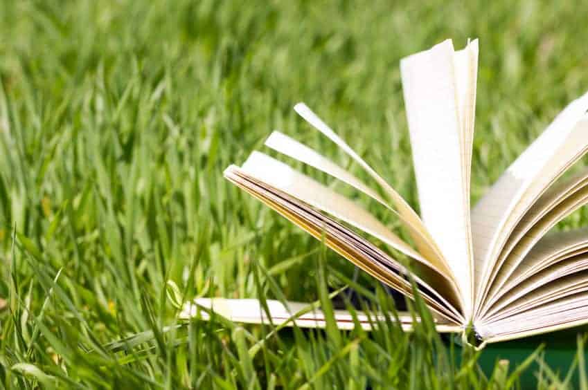 open book in the grass