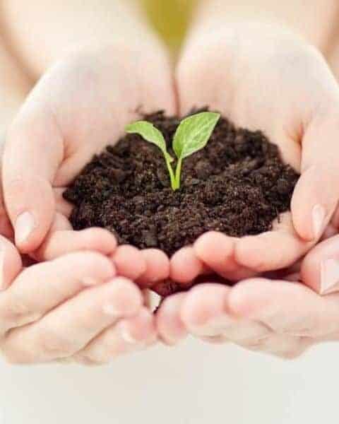 people, charity, family and ecology concept - close up of child and parent cupped hands holding soil with green sprout at home