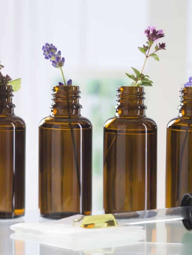 What Are Essential Oils For Anyway Story Saving Dollars Sense