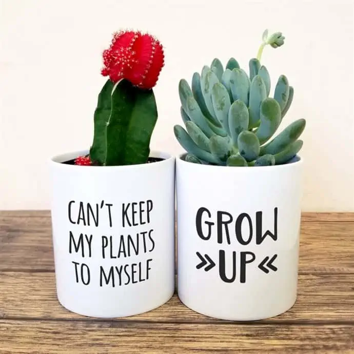 Fun Succulent Planters You Have To See