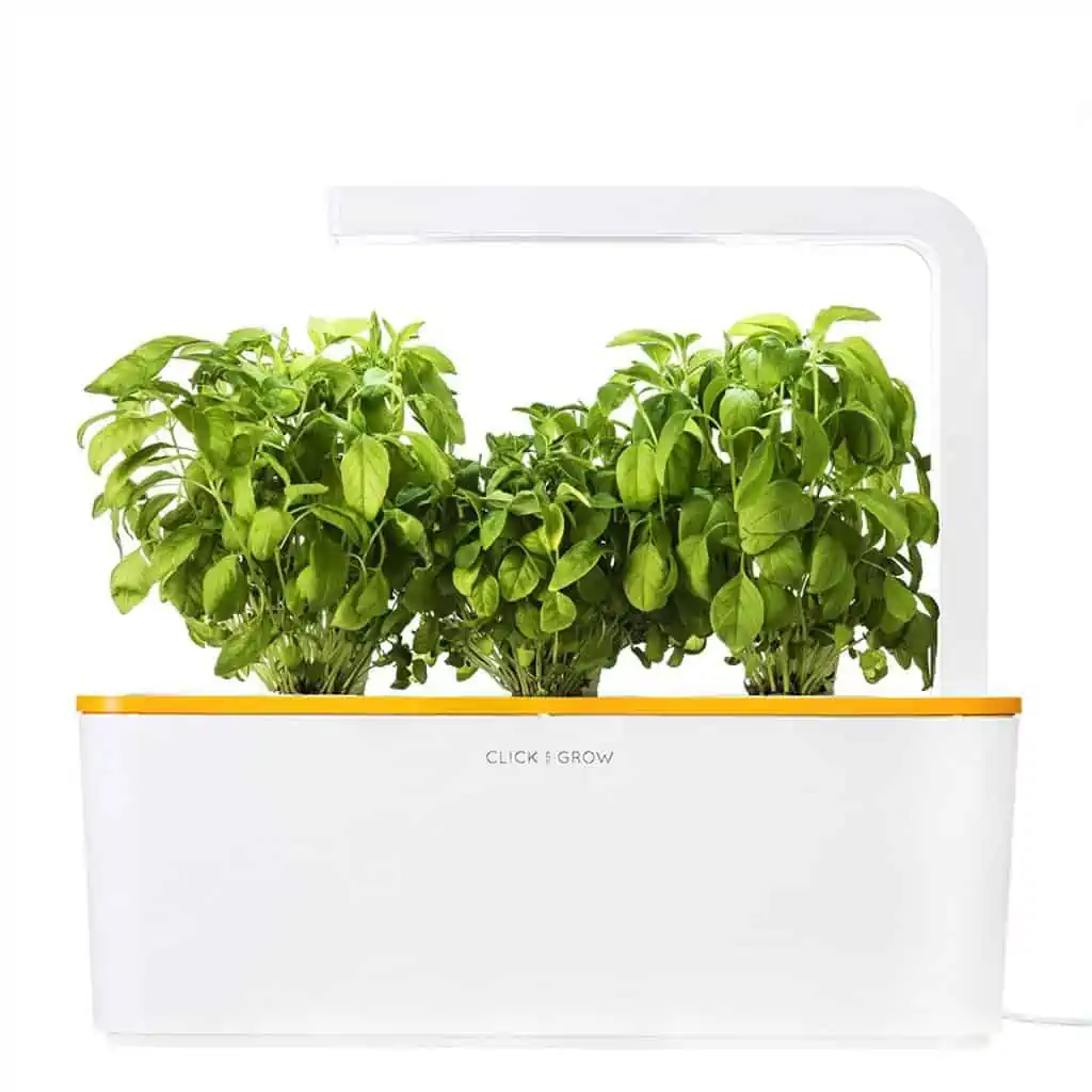 Click and grow indoor herb garden.