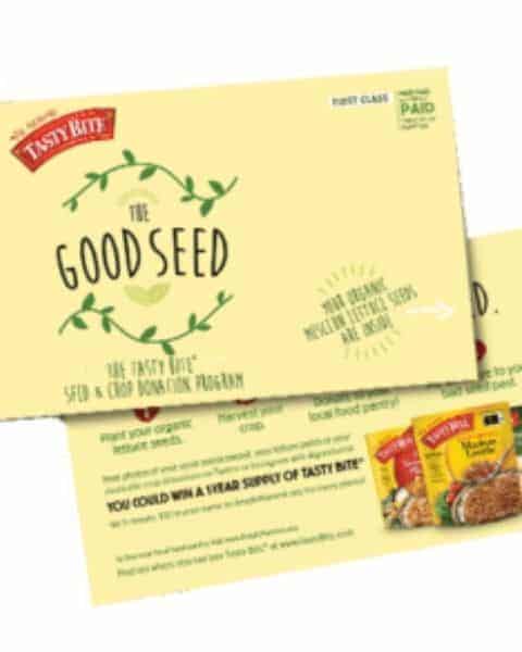 free lettuce seeds from Good Seed