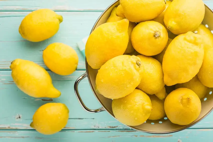 Bowl full of lemons.