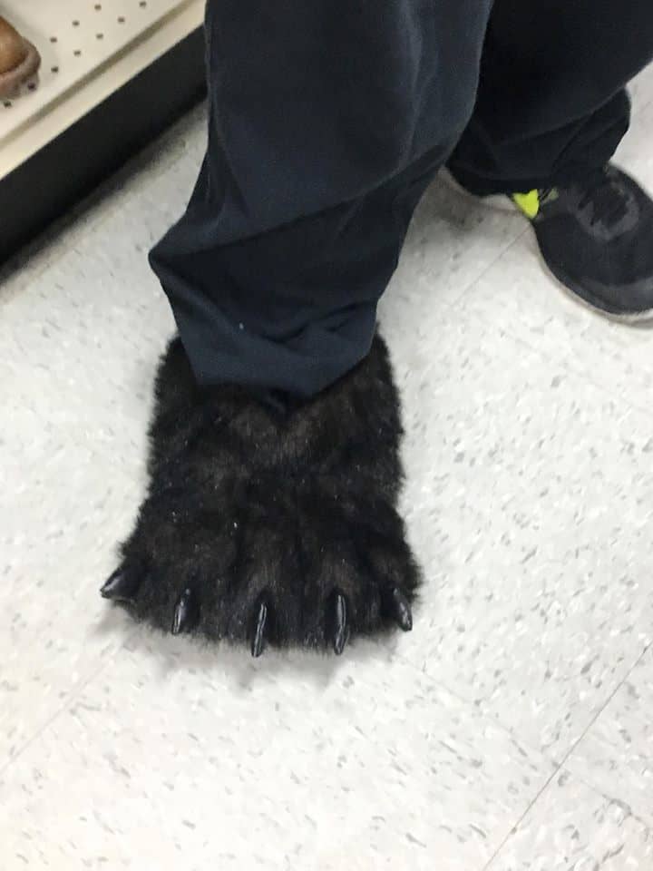 A black bear slipper.