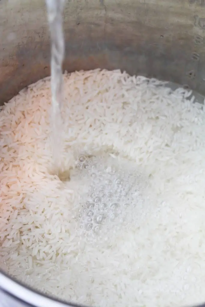 White rice in instant pot with water.