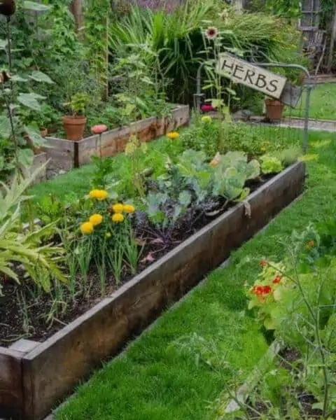 A vegetable garden with herbs, flowers, and other produce.