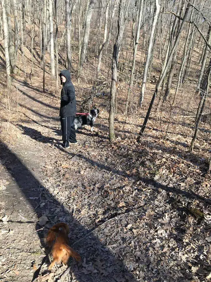 A dog standing on a dirt road