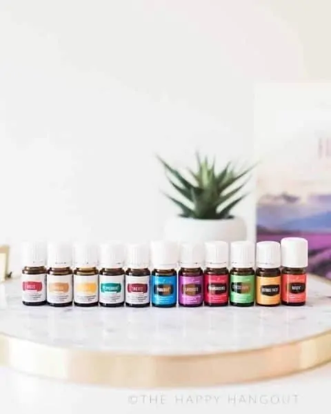 several bottles of essential oils sitting on a table with a potted plant