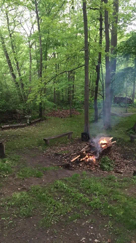 A campfire in the middle of the forest. 