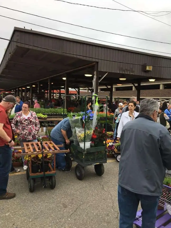 A group of people standing in a parking lot.