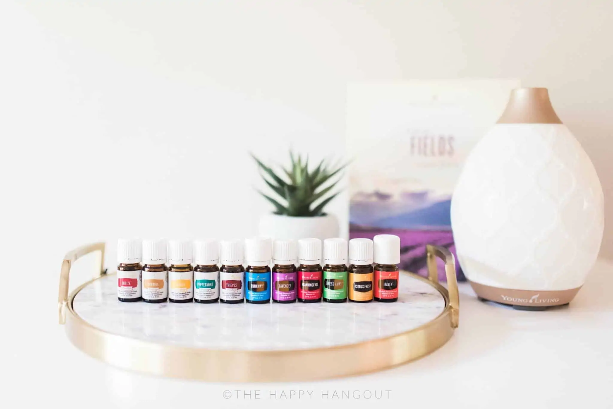 Hot Black Friday deals on Young Living essential oils.