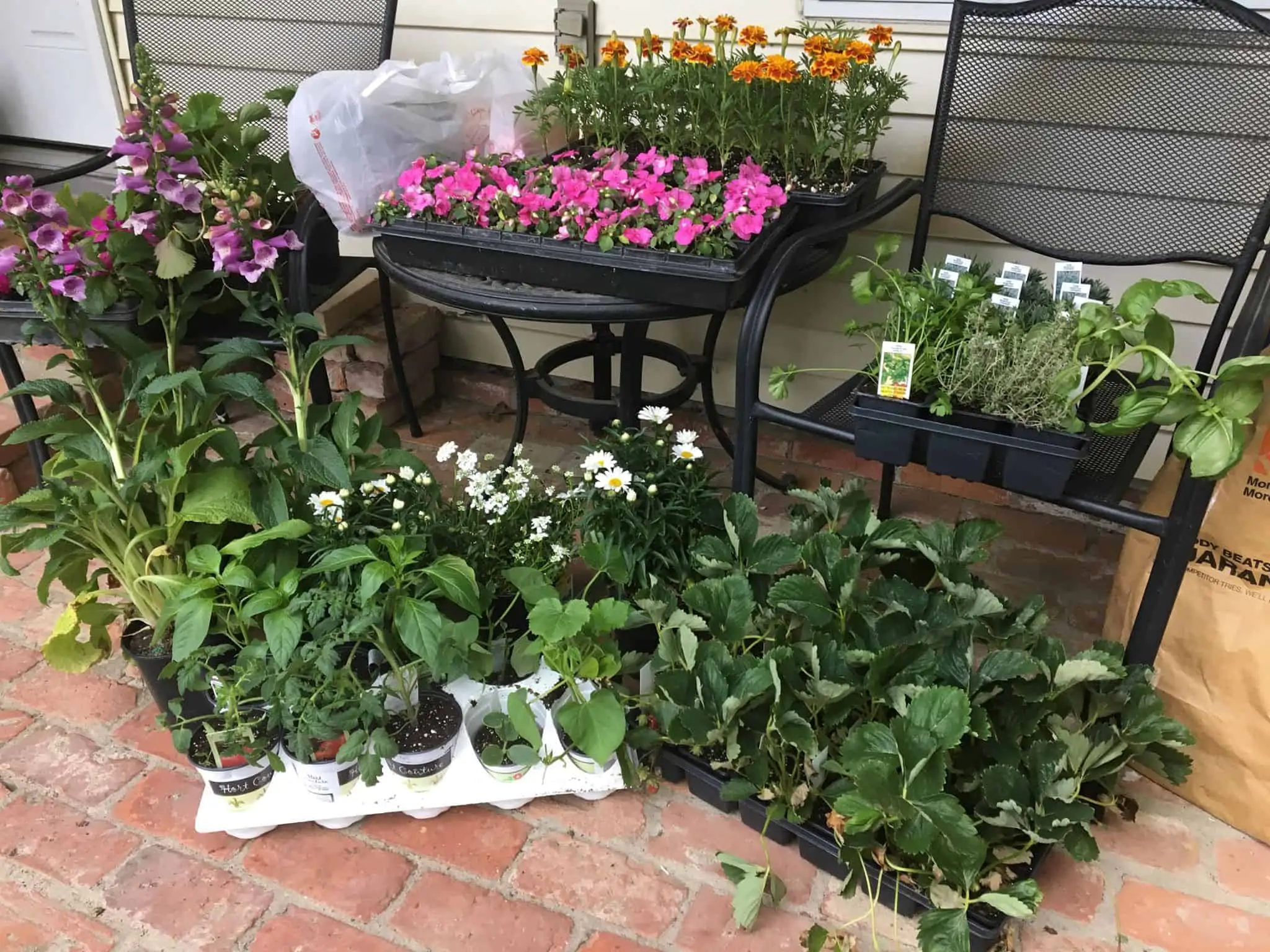 Back patio flower garden.