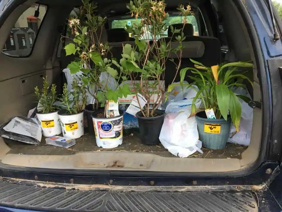 A close up of a car filled with plants and trees.