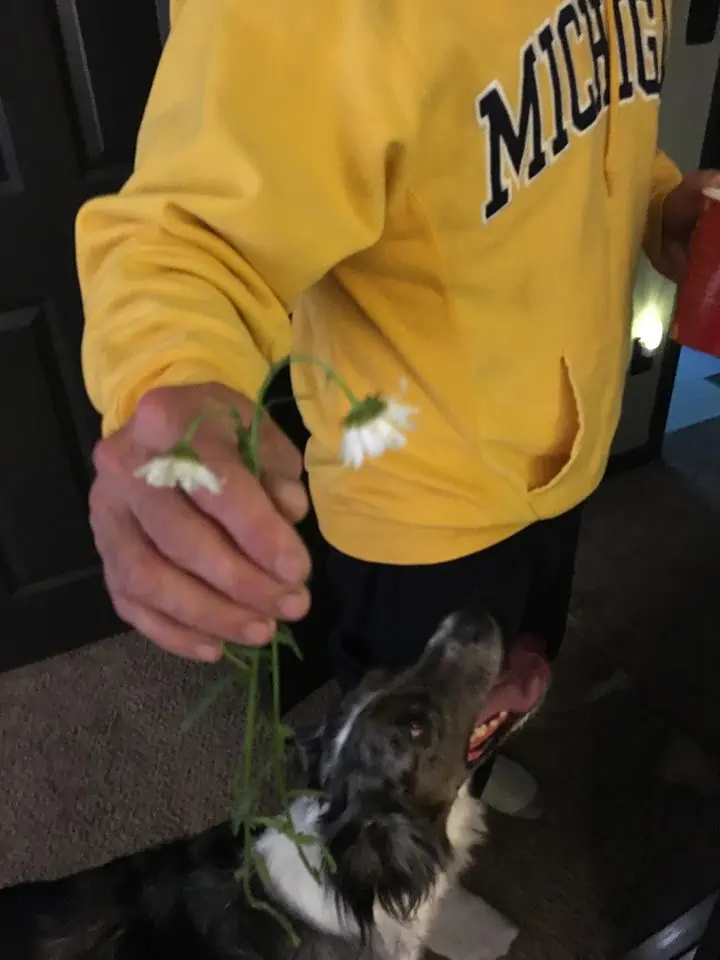 A man holding up a few flowers.