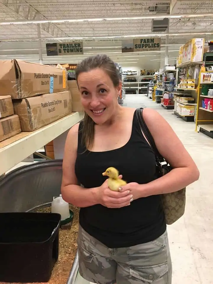 A woman holding a baby chick.